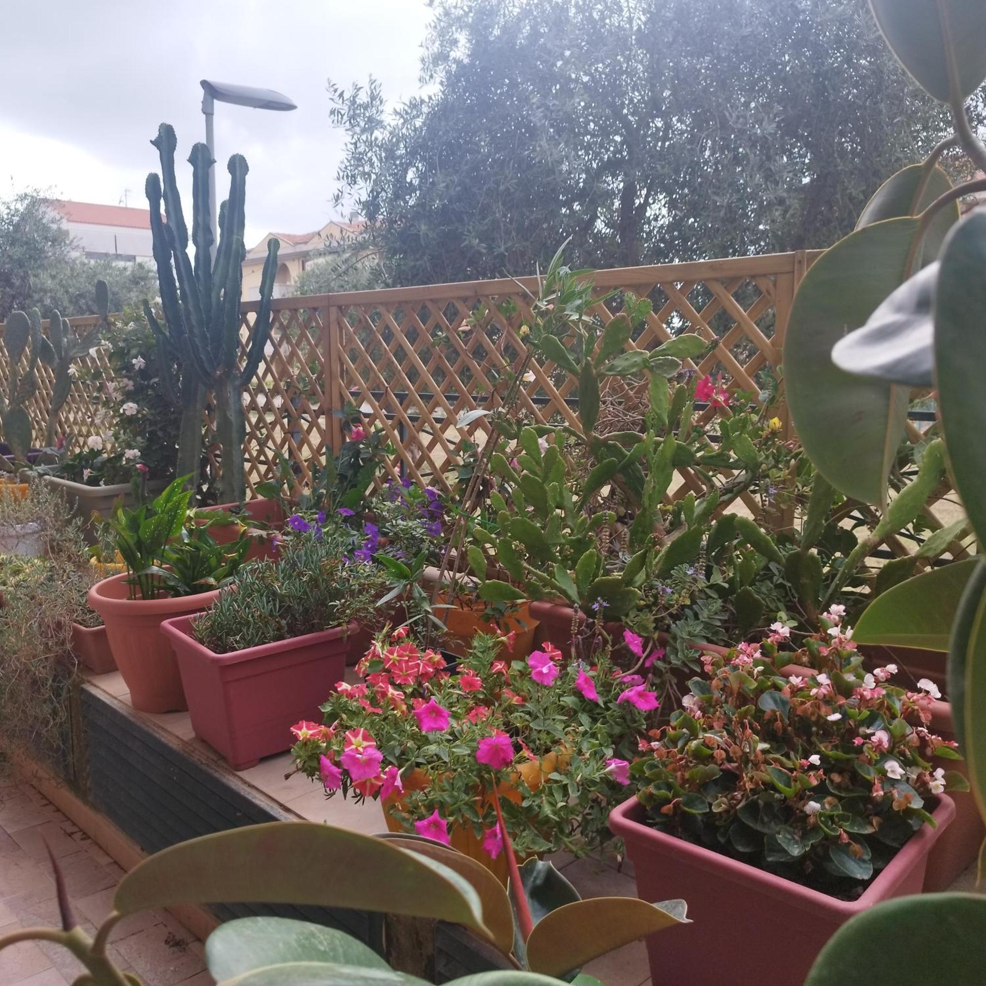 Apartamento Alghero Lovely Flat Exterior foto